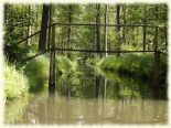 Hochwald5