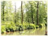 Hochwald8